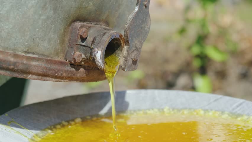 
production of honey on a small home apiary honey flows from a tap of a honey machine 4k video