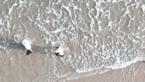 Happy couple enjoying a playful walk on the beach, laughing and holding hands as they splash through the waves together - Powered by Shutterstock - Get 15% off with code: PIKWIZARD15
