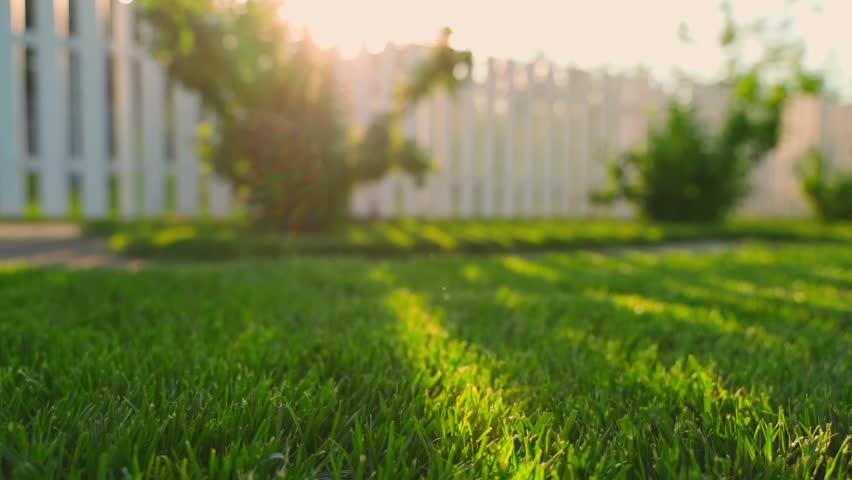 Green lawn against the backdrop of sunset, sun rays falling on green grass