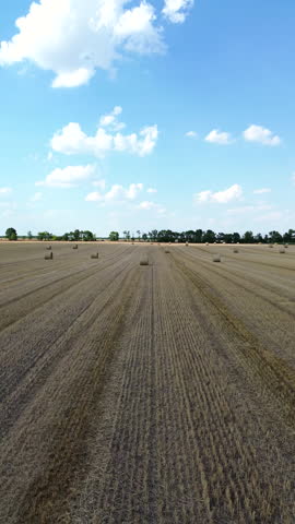 This video offers an expansive aerial perspective of a hay bale field, extending into a distant landscape. It captures agricultural land and the orderly arrangement of hay bales after harvest.