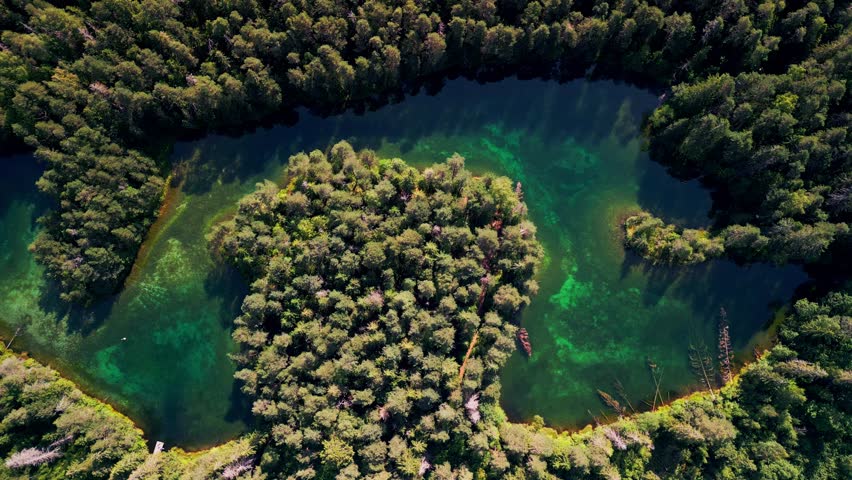 Aerial footage of Antu Sinijarv shows a vibrant turquoise lake nestled among trees with crystal clear water and peaceful surroundings offering a perfect view of untouched northern wilderness.