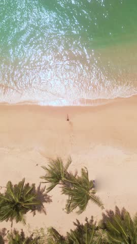 High angle drone shot of a lone man enjoying a quiet beach in Sri Lanka with calm waves and lush palm trees. Perfect for travel promos, nature concepts, and luxury destination content.