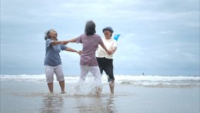 Happy senior women enjoying a playful walk on the beach, laughing and holding hands as they splash through the waves together - Powered by Shutterstock - Get 15% off with code: PIKWIZARD15