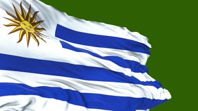 flag of uruguay. close up of uruguay flag waving in the wind. uruguay flag loop. green screen - Powered by Shutterstock - Get 15% off with code: PIKWIZARD15