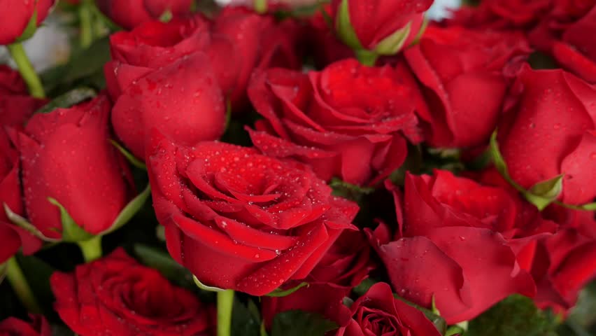 A vibrant bouquet of red roses fills the stall display, symbolizing deep emotion and festive intent, wrapped and ready for a special moment. Romantic gift.
