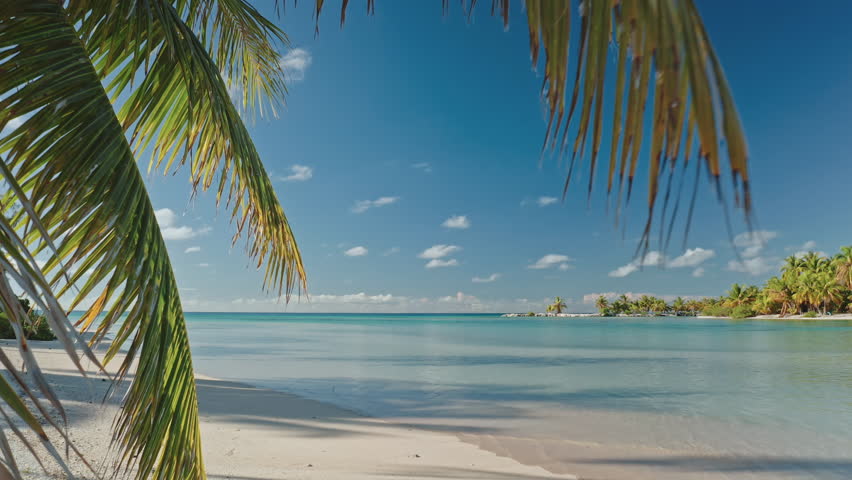Lush palm leaves framing a stunning view of a tranquil turquoise lagoon, with an idyllic island paradise in the background, creating a perfect tropical getaway scene