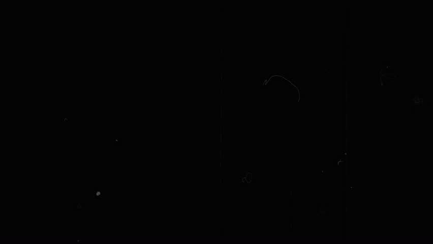 Shutterstock Video
