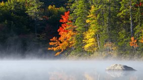 A misty lake with colorful fall foliage and a rock in the water - Powered by Shutterstock - Get 15% off with code: PIKWIZARD15