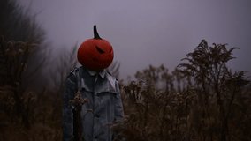 Scary scarecrow in grey cloak with pumpkin head slowly turns his head in a fall field. Spooky Halloween scene captured in rural landscape with haunting vibe - Powered by Shutterstock - Get 15% off with code: PIKWIZARD15