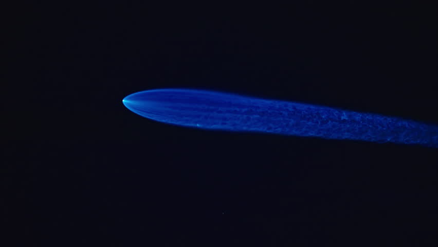 Stunning visuals of a powerful rocket launch are highlighted by a blue plume illuminating the night sky, showcasing its ascent and captivating viewers with the magnificence of this cosmic event
