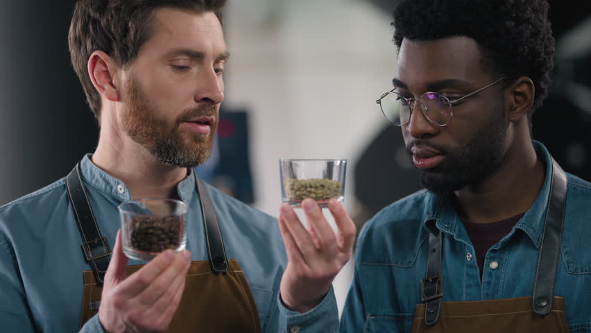 Professional happy African Caucasian two men workers specialists smelling cups different coffee scent intensity tasting session craftsmanship small business expertise roasted beans arabica indoor