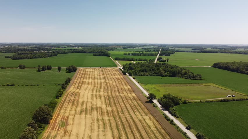 Harvesting a wheat field in Ontario Canada during a drought season 