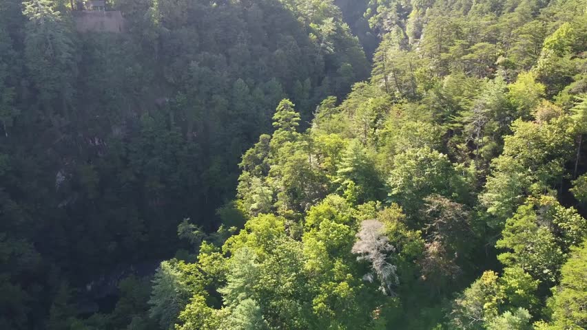 Drone aerial view of Tallulah Falls cascading through Tallulah Gorge in north Georgia, USA, showcasing rugged cliffs, lush forest canopy, and winding river from an overhead perspective.