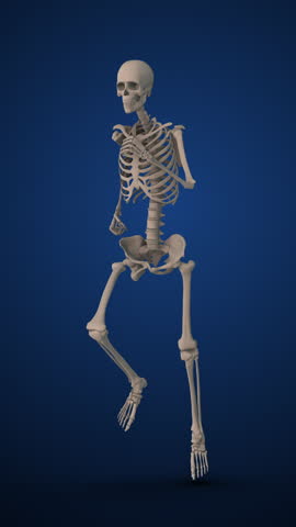 Highlighted Discomfort Areas in Skeletal Joint Anatomy