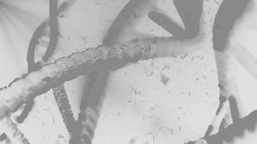 rotating DNA strands animation isolated on white background, genetics data, information stored in DNA - Powered by Shutterstock - Get 15% off with code: PIKWIZARD15