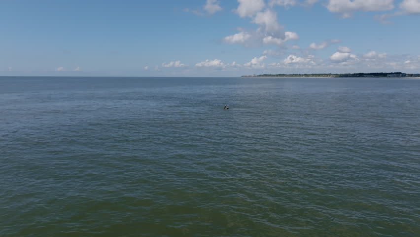 Aerial video captures a pelican taking off just above the water’s surface off Hilton Head Island’s coast, framed by calm ocean waves.