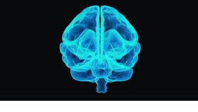 A digital brain with realistic lobes and synapses made of glowing black filaments embedded in circuit-like structure - Powered by Shutterstock - Get 15% off with code: PIKWIZARD15