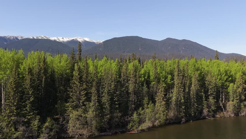 Drone footage of deforestation in the Canadian forest. River running next to the mountains in a village of indiginous tribes