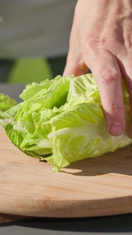 chef cuts fresh green romaine lettuce leaves on cutting board to prepare a healthy salad. outdoor cooking, food closeup