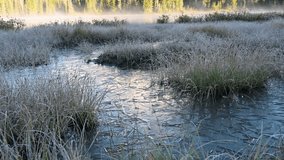 Frozen wetland with frosty grasses and early morning mist rising beneath a forested hill in winter. - Powered by Shutterstock - Get 15% off with code: PIKWIZARD15