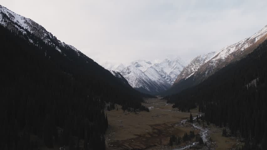 Majestic snow-capped mountains of the Tian Shan range in Kyrgyzstan, embraced by dark coniferous forests. A serene valley unfolds below, showcasing the raw power and tranquility of nature.