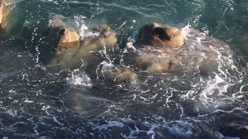 Ocean Waves Crashing Over Coastal Rocks