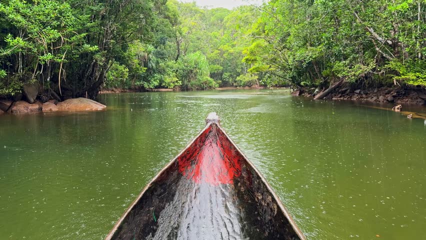 Taking a Pirogue (hand made canoe) up the river in the rain, into Masuala National Park in Madagascar, Africa 4K