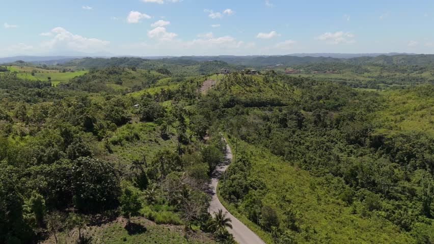 Road In The Mountains Of St Ann Jamaica