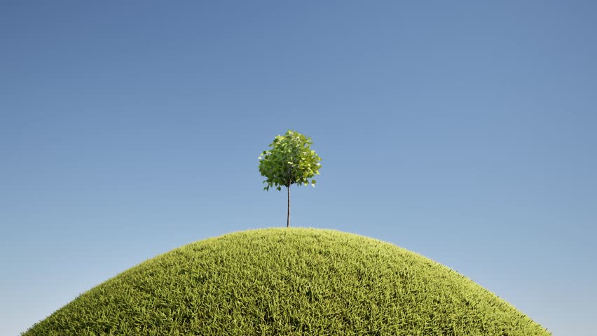 Tree grow green grass landscape nature 4k. 3D Illustration