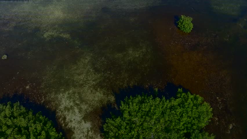 Aerial view of rows of posts standing in the water amidst varying shades of blue, green, and brown, creating a striking contrast, Islamorada, Florida, United States.