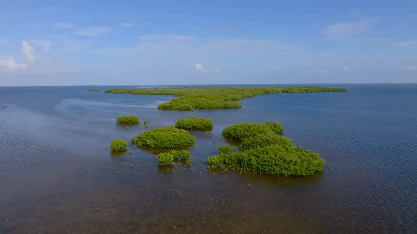 Aerial view of islands dotted with lush green mangroves contrasting against the tranquil blue water, creating a stunning natural landscape, Islamorada, Florida, United States.