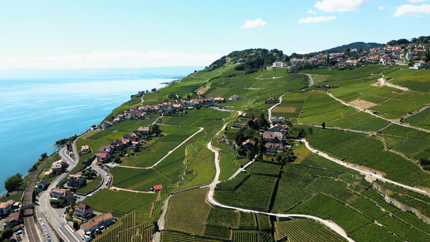 Push in drone shot of Lavaux terraced vineyards and Lake Geneva during the day in Chexbres, canton of Vaud, Switzerland