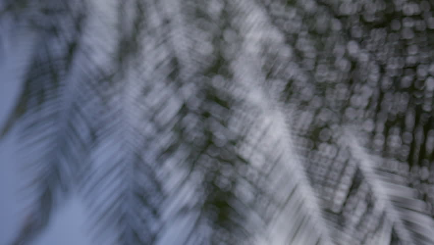 Scenic footage from Punta Cana and the Dominican Republic, showcasing turquoise Caribbean waters, lush jungle, white-sand beaches, and vibrant tropical nature.