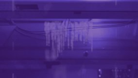 Animation of neon qr code with lines over data processing and server room. global technology and computing concept digitally generated video. - Powered by Shutterstock - Get 15% off with code: PIKWIZARD15