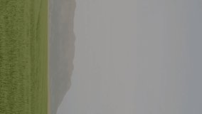 Stock market numbers and symbols animation over green field landscape. Finance, economy, growth, investment, agriculture, sustainability - Powered by Shutterstock - Get 15% off with code: PIKWIZARD15