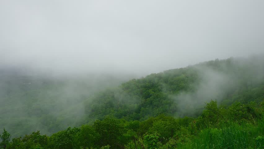Fog and mist rolling over the mountains of Shenandoah National Park, Virginia, with lush green grass and trees