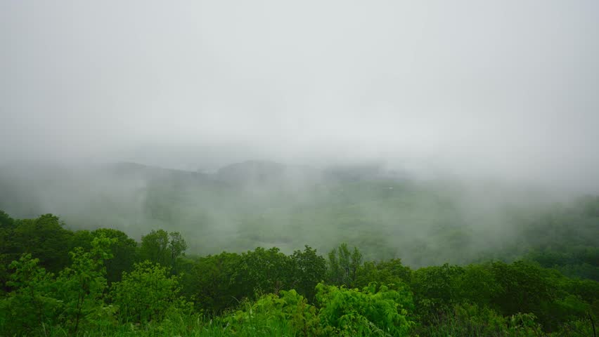 Fog and mist rolling over the mountains of Shenandoah National Park, Virginia, with lush green grass and trees
