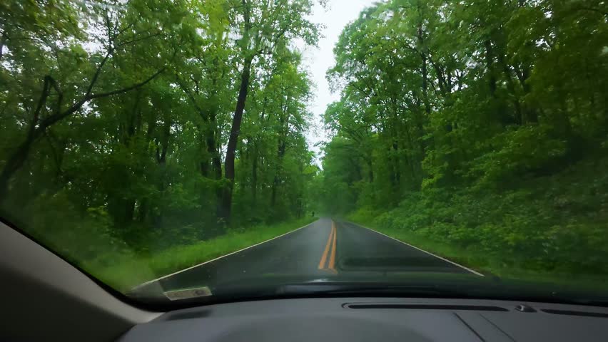 View from a car driving down Skyline Drive in Shenandoah National Park through dense green forest on a rainy day