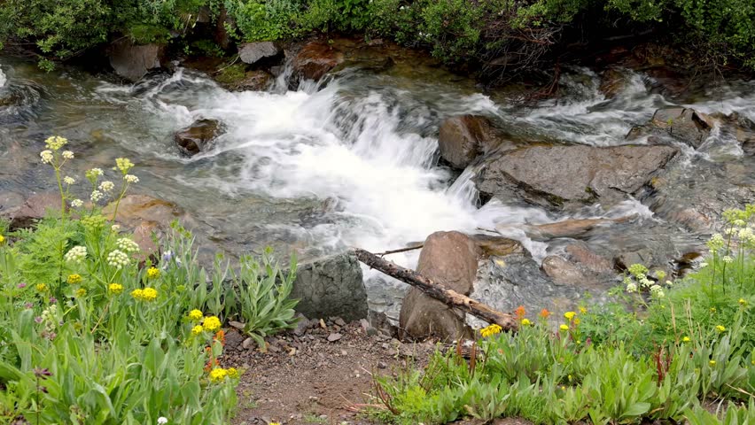 Scenic water falls surrounded with wildflowers at Yankee boy basin in Colorado during summer time.