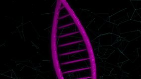 DNA strand and digital interface, scientific data processing animation. Genetics, biology, biotechnology, research, innovation, technology - Powered by Shutterstock - Get 15% off with code: PIKWIZARD15