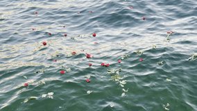Red Roses and Rose Petals Floating on Clear Turquoise Water Surface with Gentle Ripples and Golden Sunset Light Reflection, Symbolic Floral Tribute or Romantic Scene by Calm Sea in Summer Evening. - Powered by Shutterstock - Get 15% off with code: PIKWIZARD15