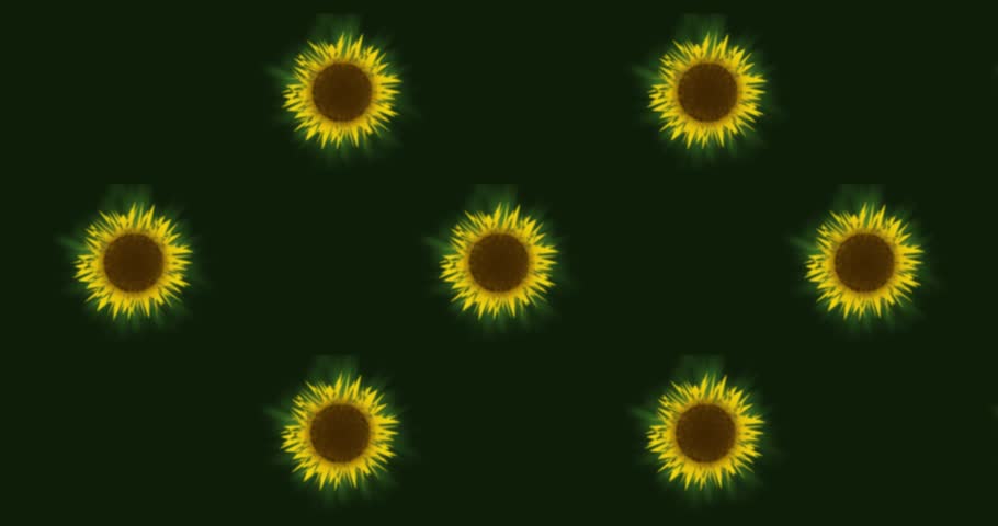 Sunflower Floral Pattern on Green Background