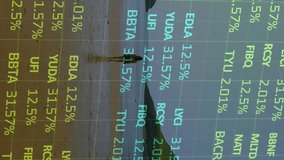 Processing financial data animation over person standing on beach. Finance, data analysis, technology, outdoors, individual, overlay - Powered by Shutterstock - Get 15% off with code: PIKWIZARD15