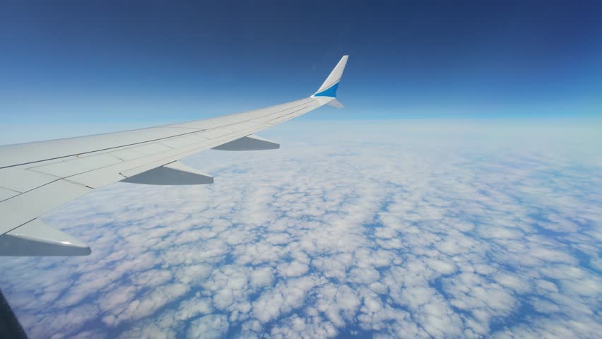 Above the world, a metallic wing glides peacefully, stirring dreams of