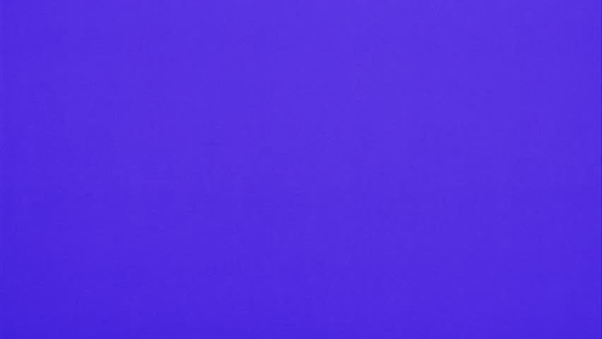 Shutterstock Video