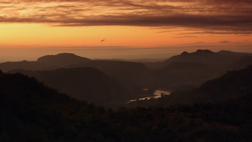 Lone bird flies over remote forested river gorge under golden dusk sky