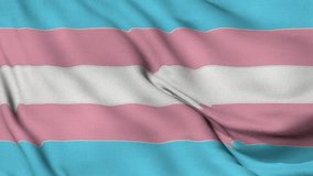 The Gay Men's Pride Flag background, Realistic MLM (Men Loving Men) Pride Flag waving in the wind, LGBTQ transgender community symbol Perfect Loop 4K video. - Powered by Shutterstock - Get 15% off with code: PIKWIZARD15