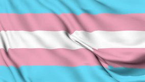 The Transgender Pride flag background, Realistic Transgender Pride Flag waving in the wind, LGBTQ transgender community symbol Perfect Loop 4K video. - Powered by Shutterstock - Get 15% off with code: PIKWIZARD15