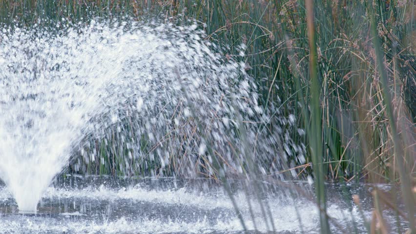 A serene pond fountain creates a mesmerizing water display amidst lush reeds. Sunlight dances on the water, accentuating the tranquil and peaceful natural setting.