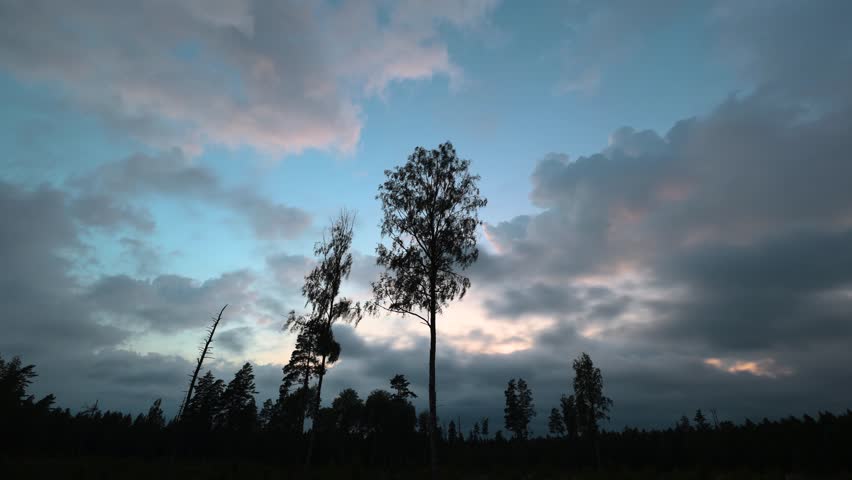 Sky darken in forest at cloudy evening in Sweden